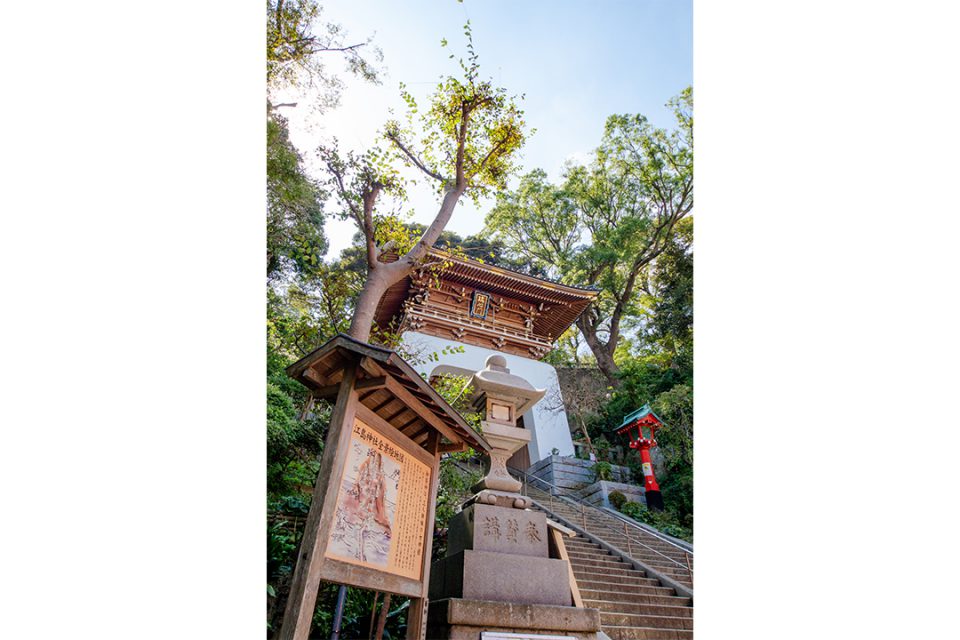 江島神社の瑞心門