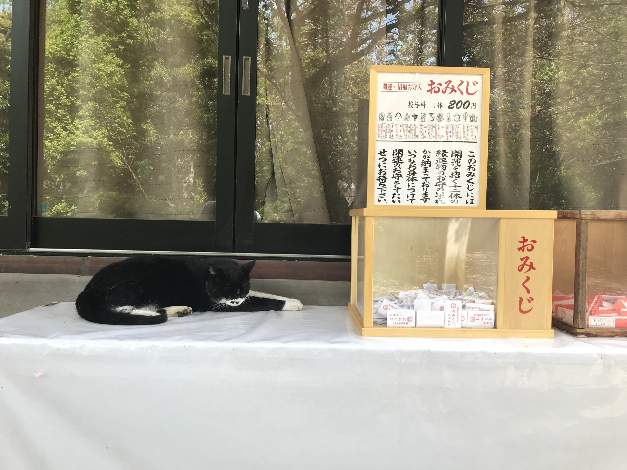 江島神社 神奈川 横浜 鎌倉 湘南 小田原 箱根 の観光情報なら旅うらら