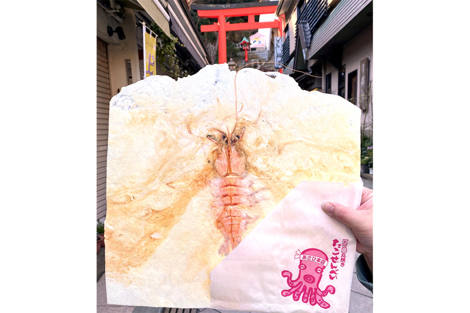 あさひ本店の丸焼きえびせんべい