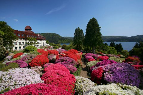 The exterior of the mountain hotel and the azaleas in the garden