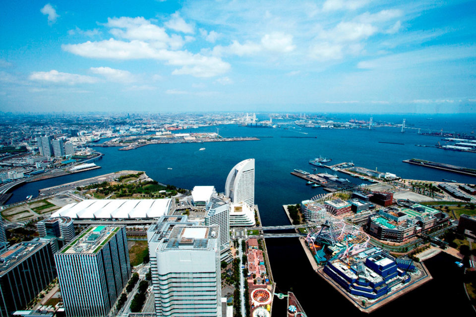 View from the sky garden