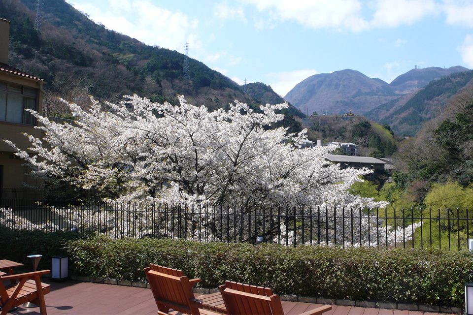 ホテルおくゆもとからの風景