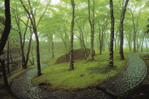 Hakone Museum of Photography Garden