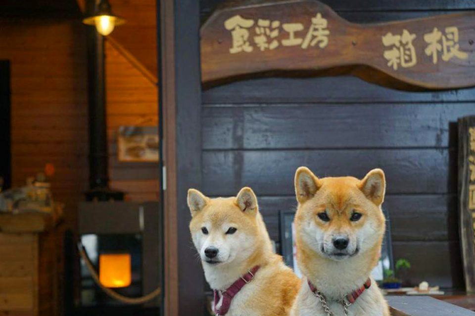 食彩工房箱根の外観