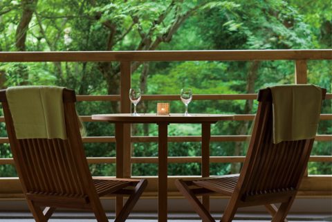 Lobby terrace overlooking the dignified greenery