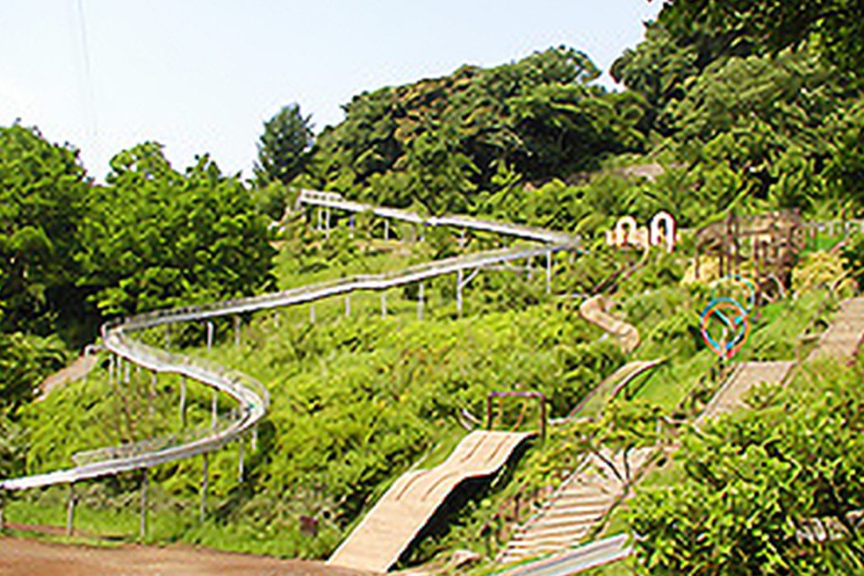 金沢動物園 神奈川 横浜 鎌倉 湘南 小田原 箱根 の観光情報なら旅うらら