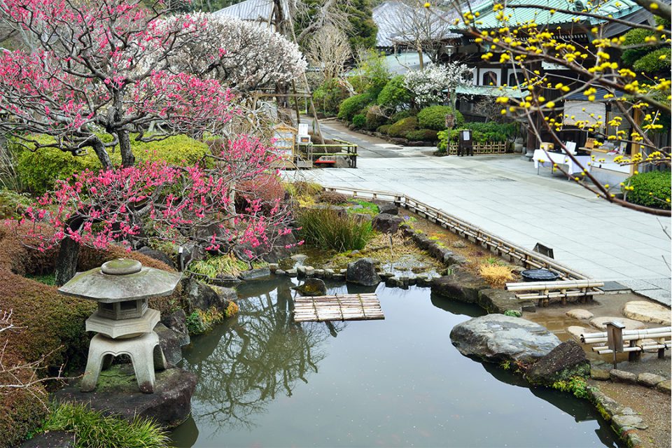 長谷寺の庭園