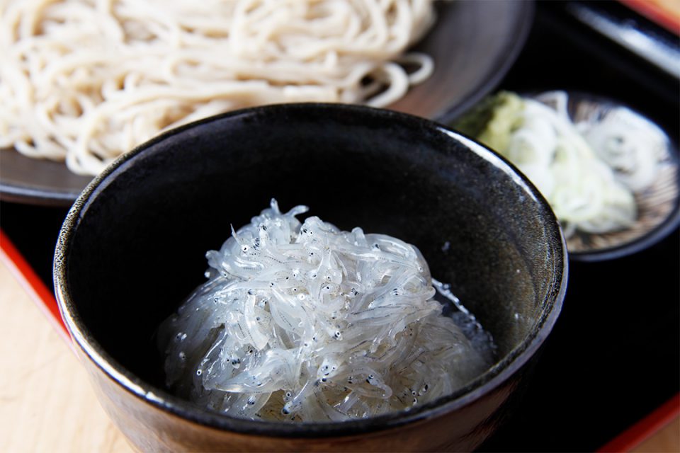 そばや繁茂の生しらすおろしそば