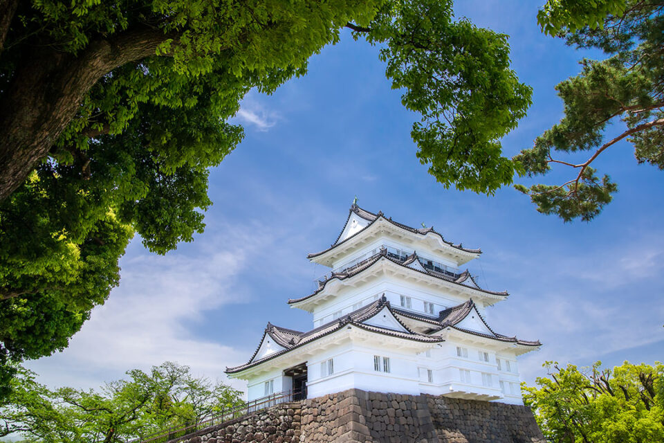 ［小田原観光スポット］小田原城