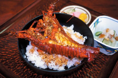 丸だい仙水の伊勢えび丼定食