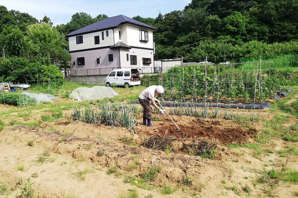 自社菜園