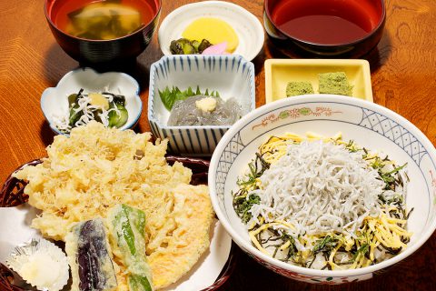 Kakiya Main Building's Special Cuisine Shirasu Samadhi Set Koyurugi