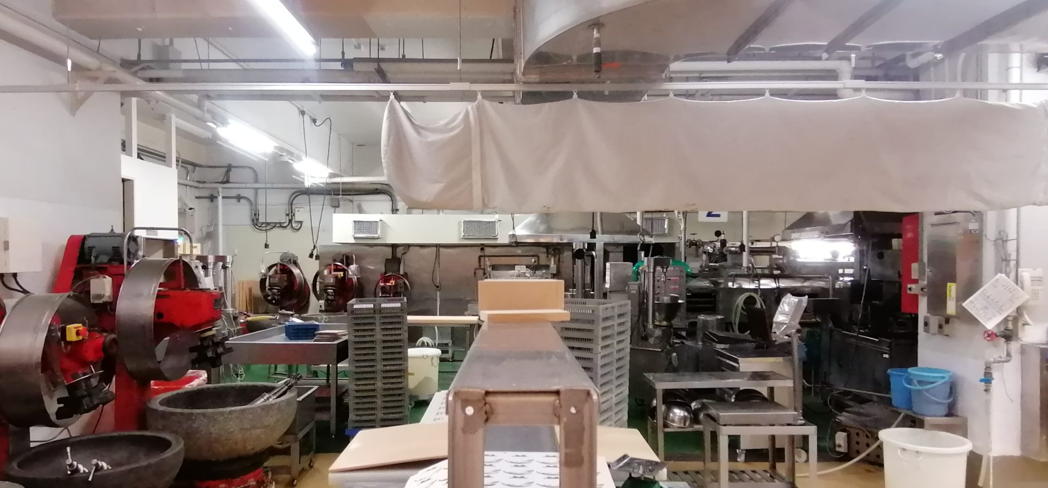 群馬県藤岡市 小さな子も遊べる川遊び 小平河川公園（こだいらかせんこうえん） コドモモオトナモ