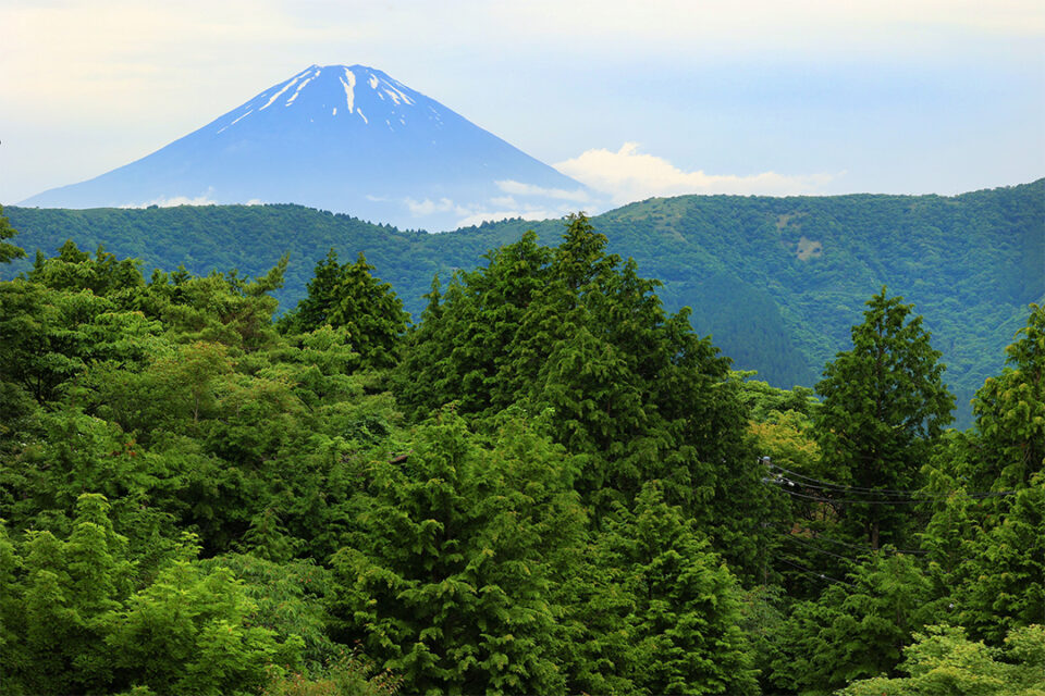 箱根湯宿 然の客室からの景色