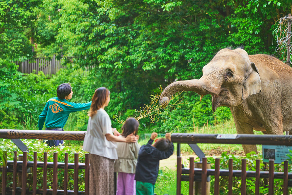 ズーラシアの飼育員のとっておきタイム（ガイド）