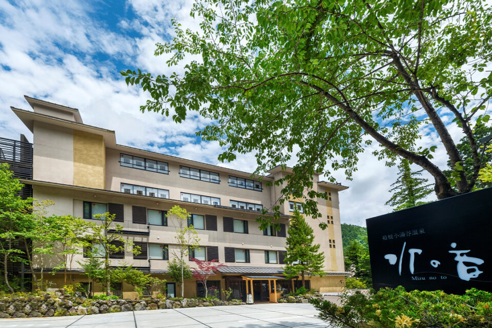 自然豊かな緑の木々に囲まれた杜の湯宿