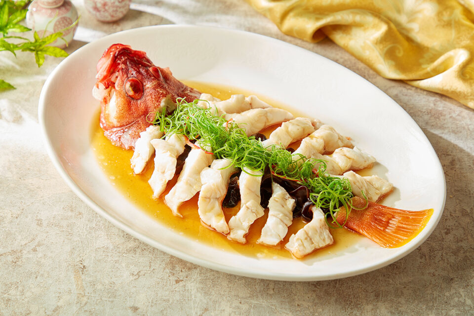 ハタの広東蒸し