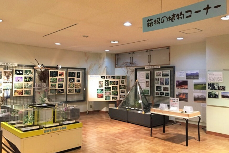 371)展示