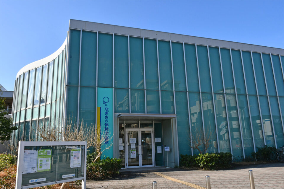 新江の島水族館　なぎさの体験学習館