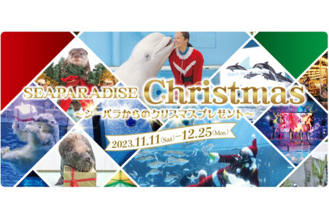 八景島シーパラダイスのクリスマス