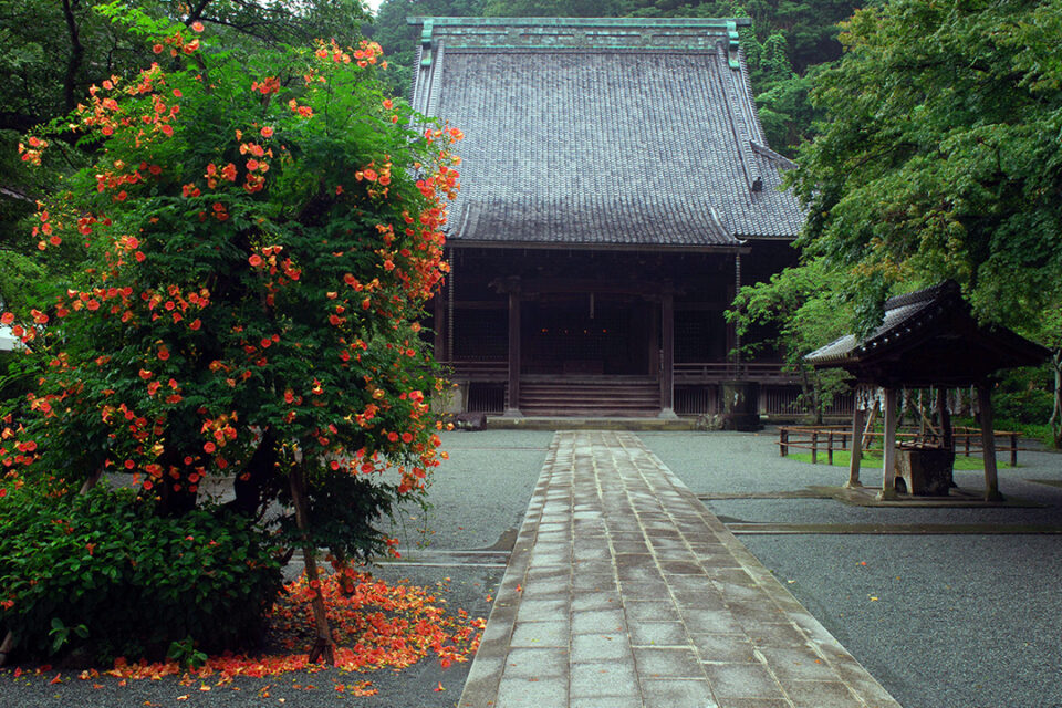 妙本寺