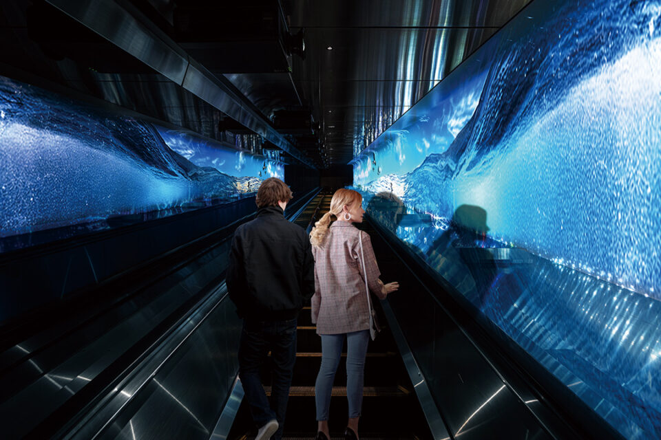 江の島エスカー