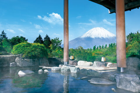 Hotel Green Plaza Hakone's open-air bath