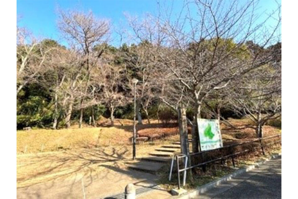 六国見山森林公園