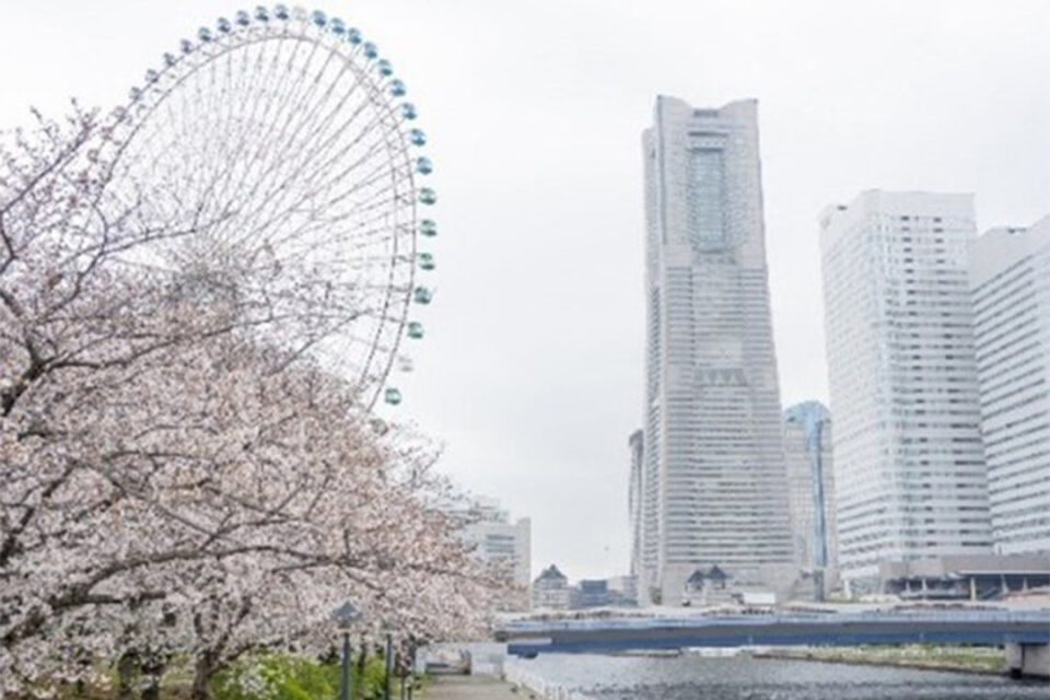 みなとエリア（都心臨海部）_横浜ランドマークタワー