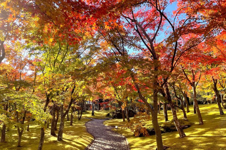 箱根美術館