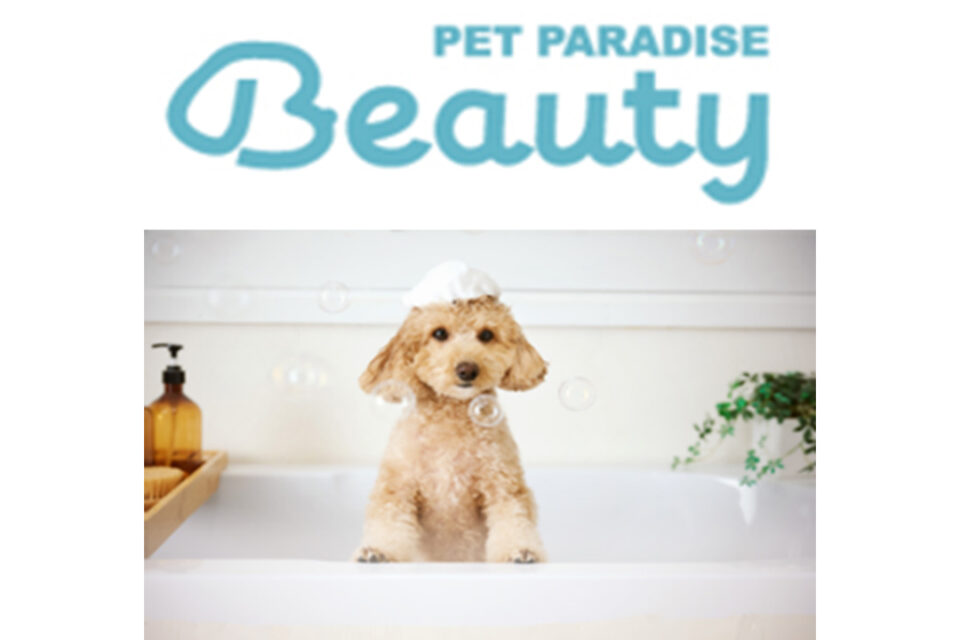 PET PARADISE + BEAUTY マークイズみなとみらい