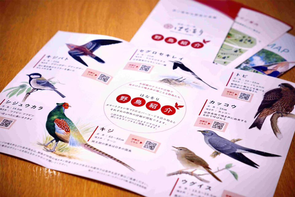 はなをり野鳥紹介リーフレット