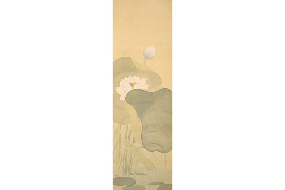 原三溪「白蓮」昭和7年（1932）