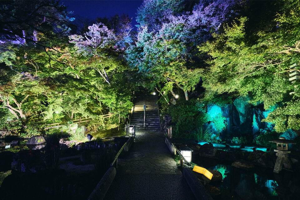 イメージ-2