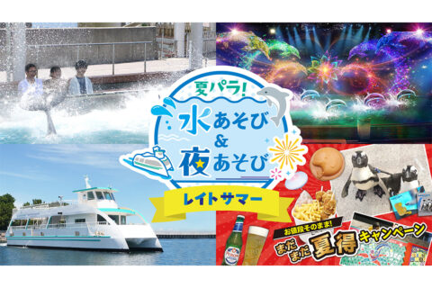 「夏パラ！水あそび＆夜あそび レイトサマー」MV