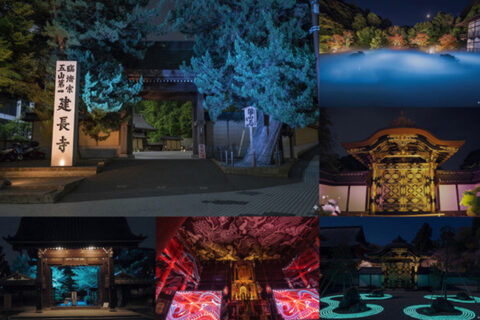 ZEN NIGHT WALK　KAMAKURAイメージ