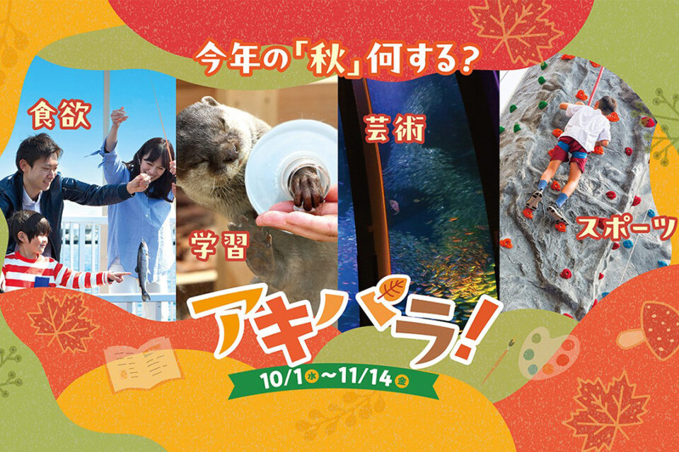 アキパラ_MV