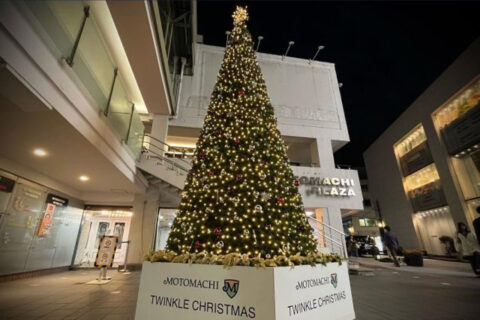 横浜元町イルミネーションのクリスマスツリー