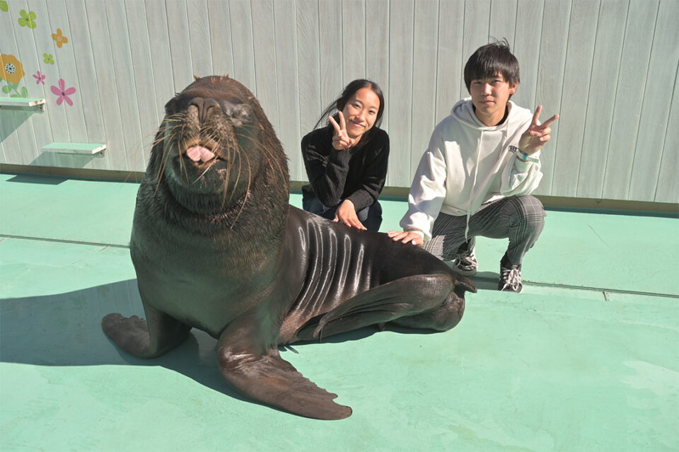 横浜・八景島シーパラダイスのアニマルパフォーマンス～ふれンDo！パーティー～