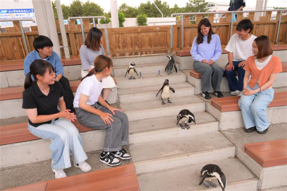 横浜・八景島シーパラダイスのアニマルパフォーマンス～ふれンDo！パーティー～