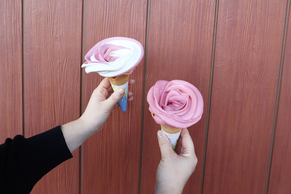 ARTHUR CAFE 鎌倉 小町通りのROSE・ソフトクリーム