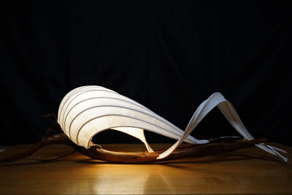 佐藤祥太 個展　作品