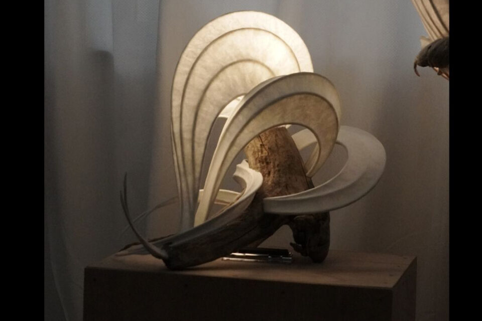 佐藤祥太 個展　作品