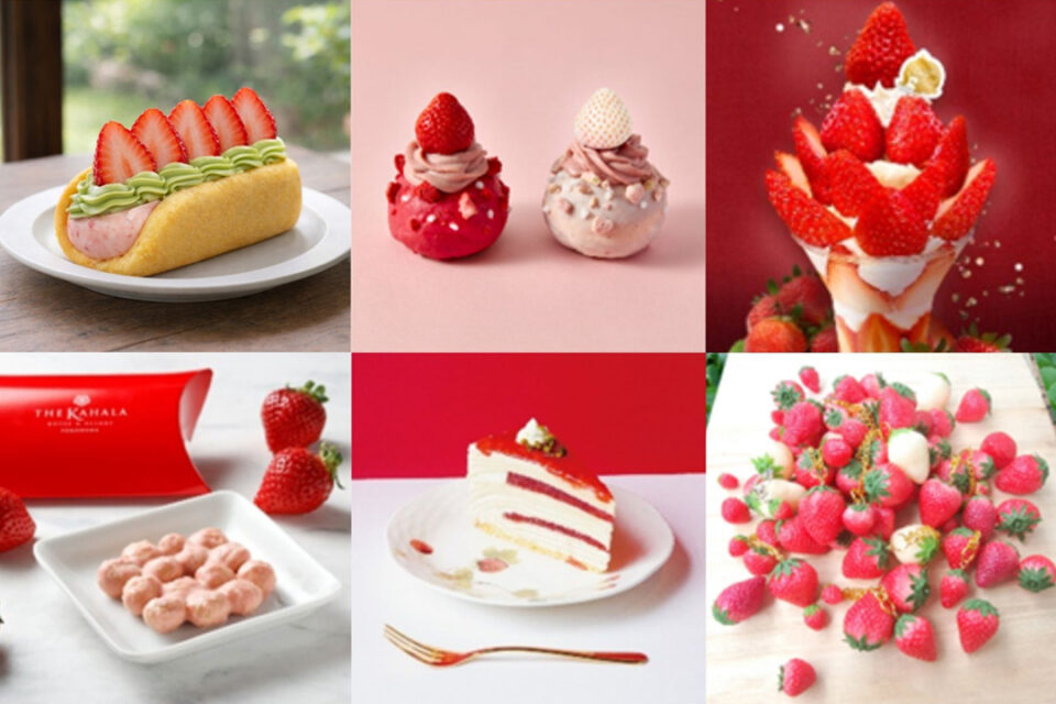 いちごを贅沢に使った可愛いスイーツやドリンク、グッズが目白押し!