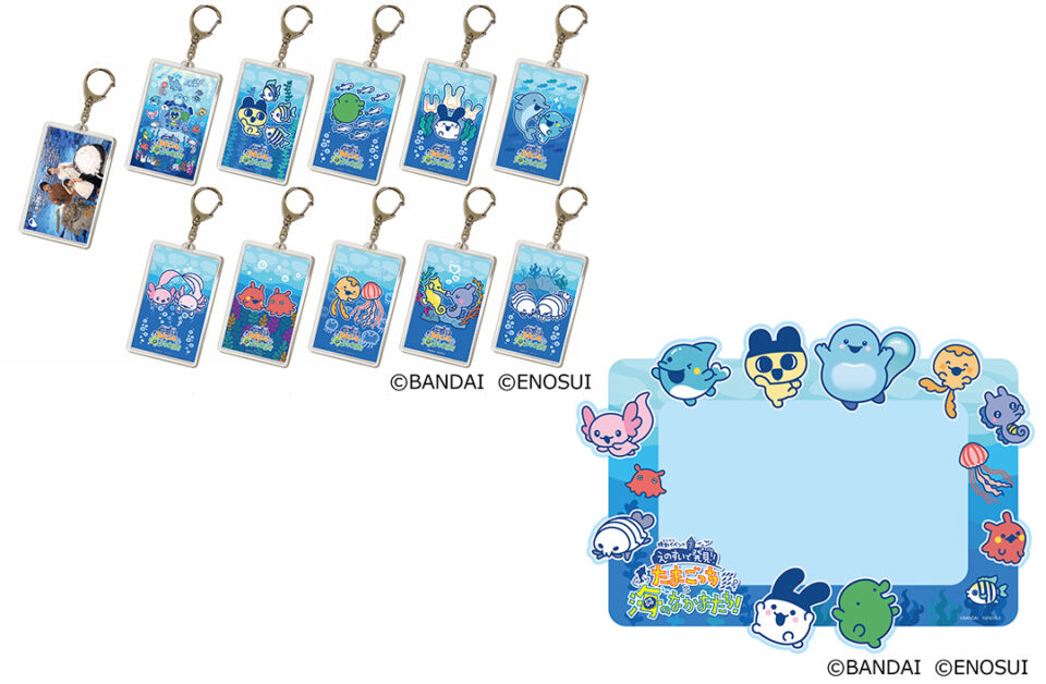 「えのすい」の「フォトコーナー」