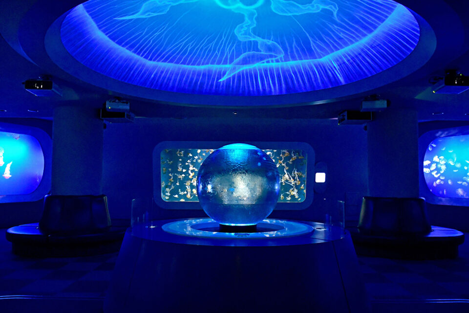 「えのすい」の「クラゲファンタジーホール」