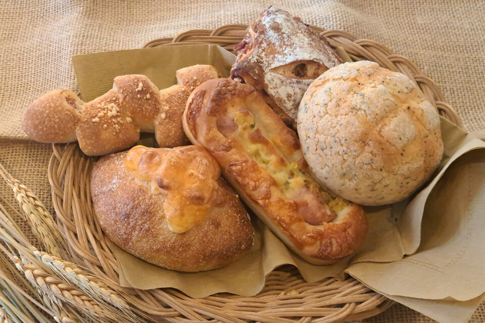 一夜城ヨロイヅカ・ファーム