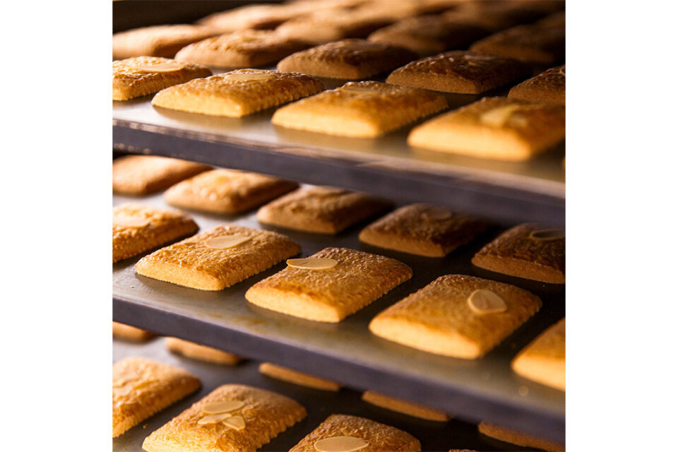 「鎌倉ウィッチ」の「鎌倉ビスケ」