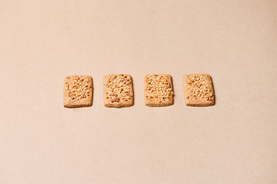 「鎌倉ウィッチ」の「鎌倉ビスケ」