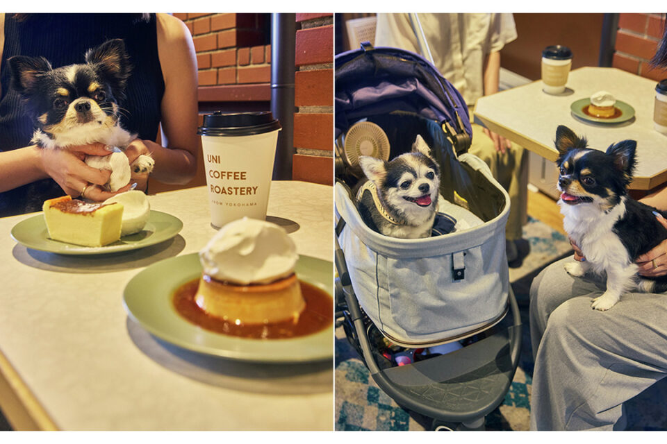 「赤レンガでわんさんぽ」のワンちゃん同伴可能店舗・エリア 一例「UNI COFFEE ROASTERY」
